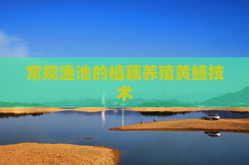 常规渔池的植藕养殖黄鳝技术