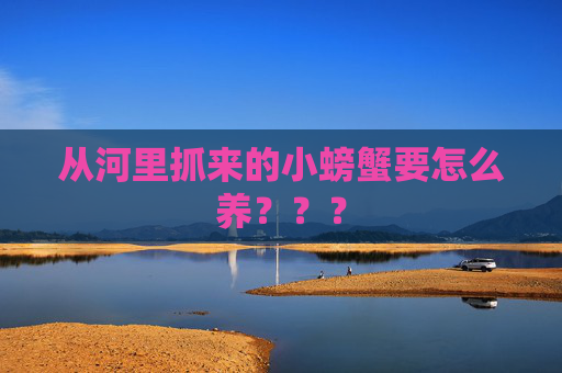 从河里抓来的小螃蟹要怎么养？？？