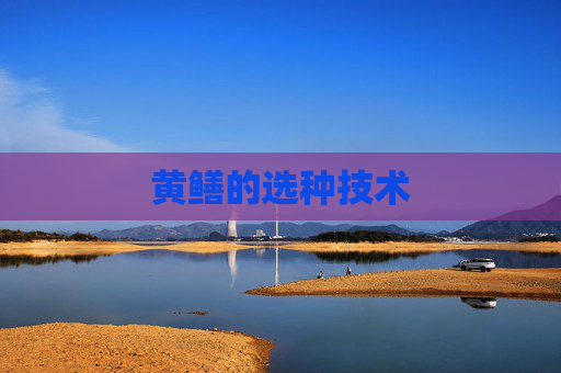 黄鳝的选种技术