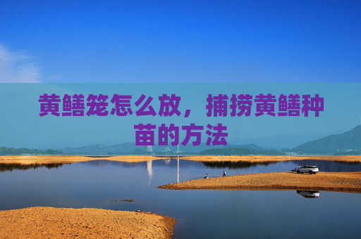 黄鳝笼怎么放，捕捞黄鳝种苗的方法