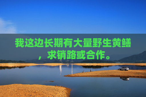 我这边长期有大量野生黄鳝，求销路或合作。