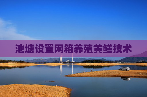 池塘设置网箱养殖黄鳝技术