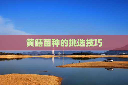 黄鳝苗种的挑选技巧