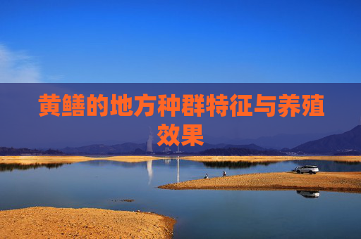 黄鳝的地方种群特征与养殖效果