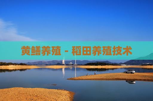 黄鳝养殖－稻田养殖技术
