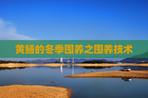 黄鳝的冬季囤养之囤养技术
