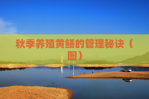 秋季养殖黄鳝的管理秘诀（图）