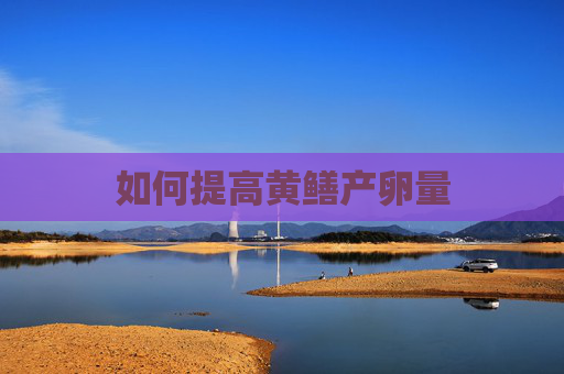 如何提高黄鳝产卵量