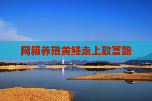 网箱养殖黄鳝走上致富路