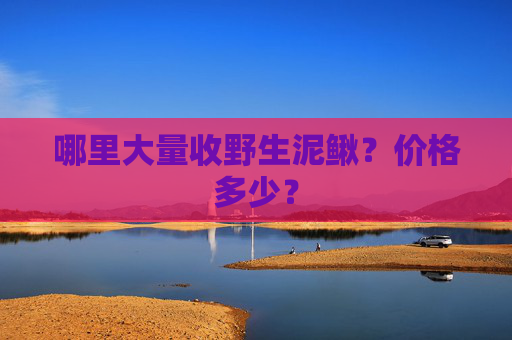哪里大量收野生泥鳅？价格多少？