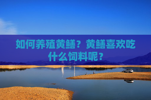 如何养殖黄鳝？黄鳝喜欢吃什么饲料呢？