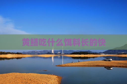 黄鳝吃什么饵料长的快
