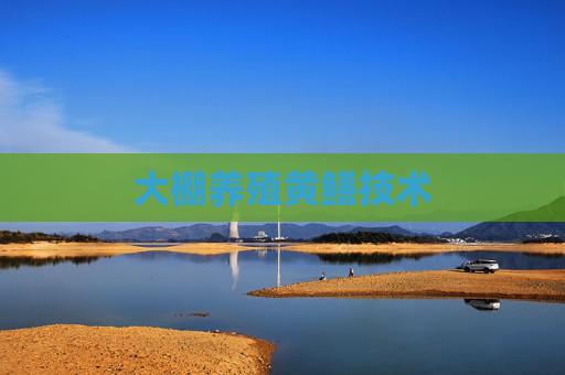 大棚养殖黄鳝技术