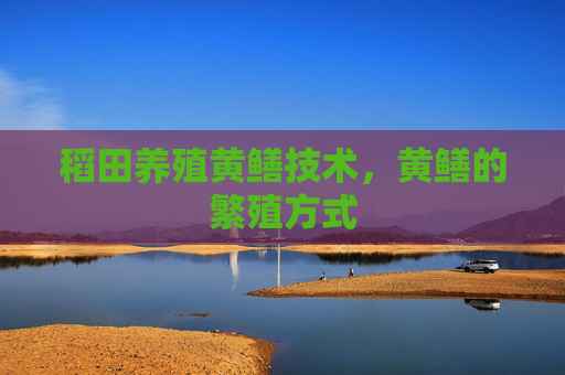 稻田养殖黄鳝技术，黄鳝的繁殖方式