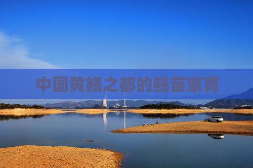 中国黄鳝之都的鳝苗繁育 中国黄鳝之都的鳝苗繁育