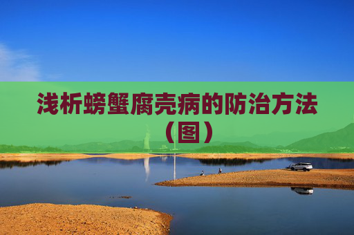 浅析螃蟹腐壳病的防治方法（图）