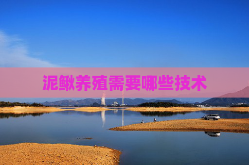 泥鳅养殖需要哪些技术 泥鳅养殖需要哪些技术