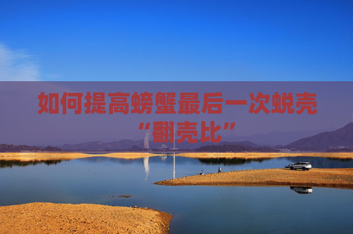 如何提高螃蟹最后一次蜕壳“翻壳比”