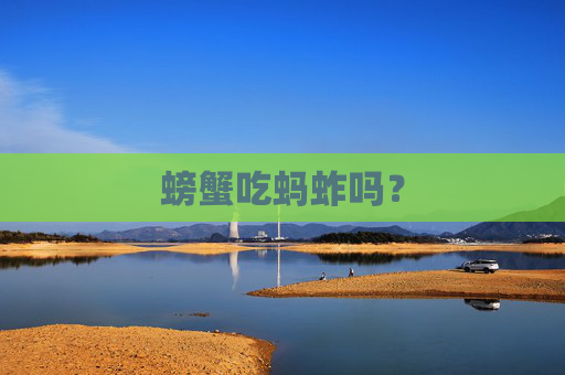 螃蟹吃蚂蚱吗？