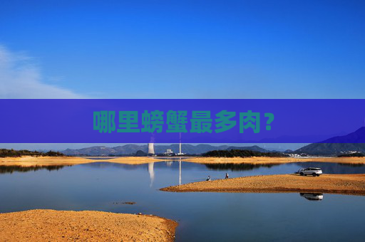 哪里螃蟹最多肉？