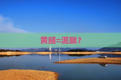黄鳝=泥鳅？