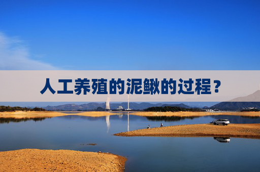 人工养殖的泥鳅的过程？