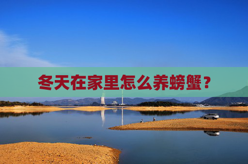 冬天在家里怎么养螃蟹？