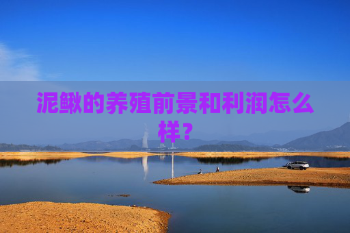 泥鳅的养殖前景和利润怎么样？