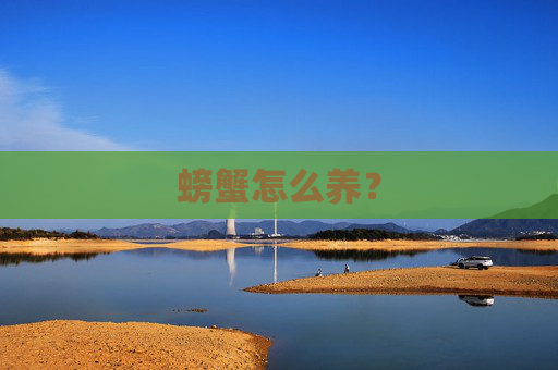 螃蟹怎么养?