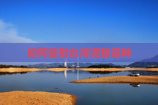 如何鉴别台湾泥鳅苗种