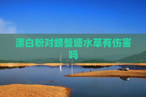 漂白粉对螃蟹塘水草有伤害吗