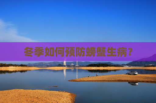 冬季如何预防螃蟹生病？