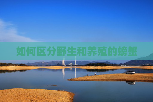 如何区分野生和养殖的螃蟹