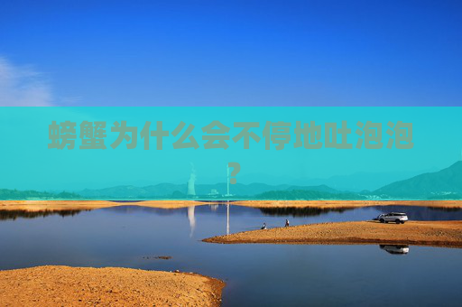 螃蟹为什么会不停地吐泡泡？