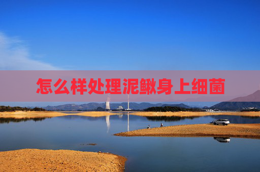 怎么样处理泥鳅身上细菌
