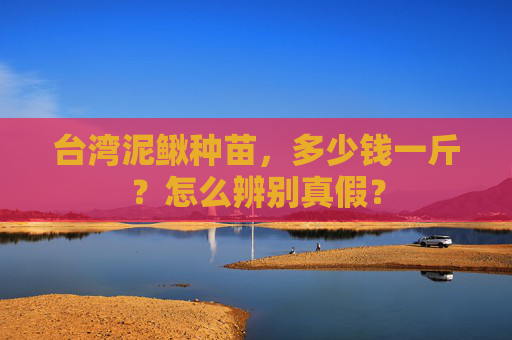台湾泥鳅种苗,多少钱一斤?怎么辨别真假? 台湾泥鳅种苗,多少钱一斤?怎么辨别真假?