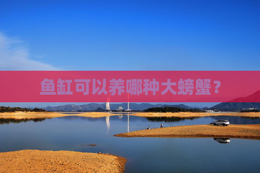 鱼缸可以养哪种大螃蟹？