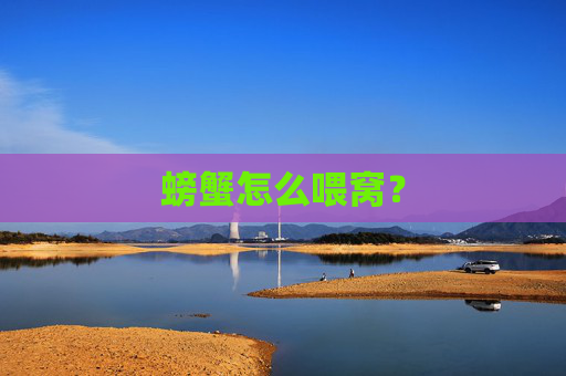 螃蟹怎么喂窝？