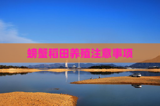 螃蟹稻田养殖注意事项