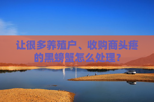 让很多养殖户、收购商头疼的黑螃蟹怎么处理？