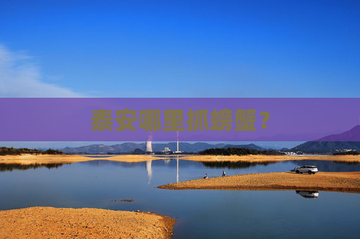 泰安哪里抓螃蟹？