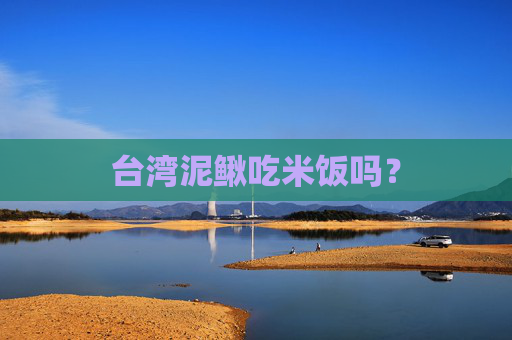 台湾泥鳅吃米饭吗？