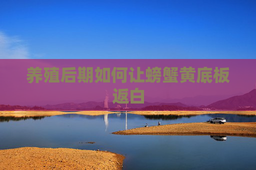 养殖后期如何让螃蟹黄底板返白