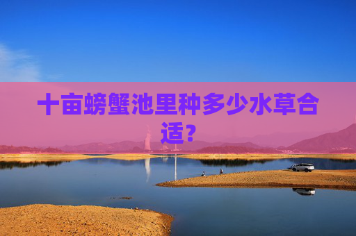 十亩螃蟹池里种多少水草合适？