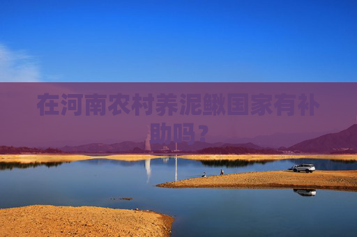 在河南农村养泥鳅国家有补助吗? 在河南农村养泥鳅国家有补助吗?