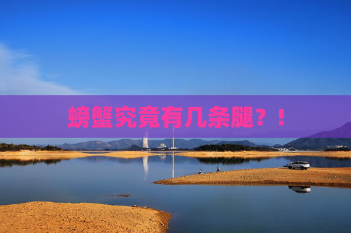 螃蟹究竟有几条腿?! 螃蟹究竟有几条腿?!