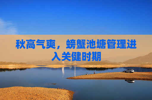 秋高气爽，螃蟹池塘管理进入关健时期