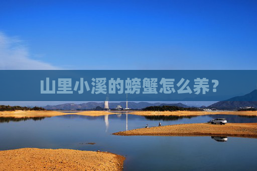 山里小溪的螃蟹怎么养？