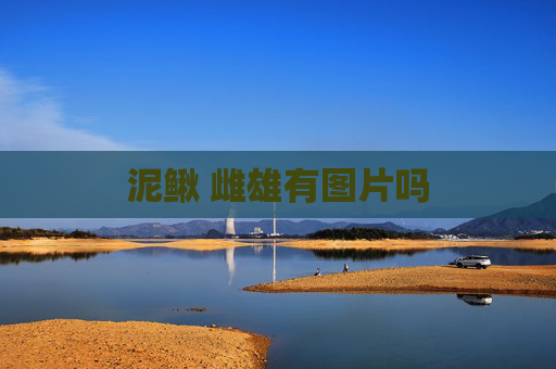 泥鳅 雌雄有图片吗