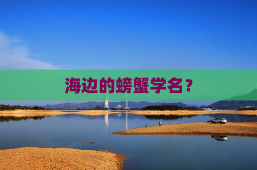 海边的螃蟹学名？